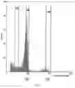 Fig. 16 - SIMULTANEOUS GENE EDITING AND HAPLOID INDUCTION