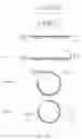 Fig. 02 - Circular RNA for translation in eukaryotic cells