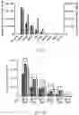 Fig. 13 - Circular RNA for translation in eukaryotic cells