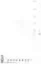 Fig. 43 - Circular RNA for translation in eukaryotic cells