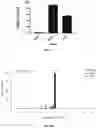 Fig. 05 - UNIVERSAL DONOR CELLS