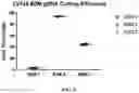 Fig. 12 - UNIVERSAL DONOR CELLS