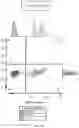 Fig. 13 - UNIVERSAL DONOR CELLS