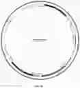 Fig. 15 - UNIVERSAL DONOR CELLS