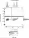 Fig. 17 - UNIVERSAL DONOR CELLS