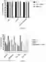 Fig. 24 - UNIVERSAL DONOR CELLS