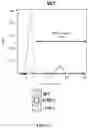 Fig. 28 - UNIVERSAL DONOR CELLS