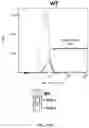 Fig. 31 - UNIVERSAL DONOR CELLS