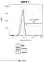 Fig. 32 - UNIVERSAL DONOR CELLS