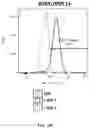 Fig. 33 - UNIVERSAL DONOR CELLS