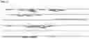 Fig. 07 - CRISPR/CAS9-BASED COMPOSITIONS AND METHODS FOR TREATING RETINAL DEGENERATIONS