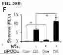 Fig. 43 - CRISPR/CAS9-BASED COMPOSITIONS AND METHODS FOR TREATING RETINAL DEGENERATIONS