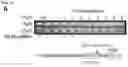 Fig. 63 - CRISPR/CAS9-BASED COMPOSITIONS AND METHODS FOR TREATING RETINAL DEGENERATIONS