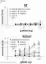 Fig. 65 - CRISPR/CAS9-BASED COMPOSITIONS AND METHODS FOR TREATING RETINAL DEGENERATIONS