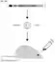 Fig. 83 - CRISPR/CAS9-BASED COMPOSITIONS AND METHODS FOR TREATING RETINAL DEGENERATIONS