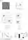 Fig. 89 - CRISPR/CAS9-BASED COMPOSITIONS AND METHODS FOR TREATING RETINAL DEGENERATIONS