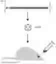 Fig. 97 - CRISPR/CAS9-BASED COMPOSITIONS AND METHODS FOR TREATING RETINAL DEGENERATIONS