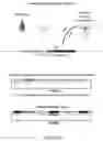 Fig. 22 - Methods for autocatalytic genome editing and neutralizing autocatalytic genome editing and compositions thereof
