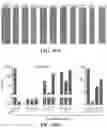 Fig. 22 - Crispr enzymes and systems