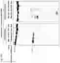 Fig. 41 - Methods and compositions for RNA-directed target DNA modification and for RNA-directed modulation of transcription
