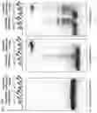 Fig. 47 - Methods and compositions for RNA-directed target DNA modification and for RNA-directed modulation of transcription