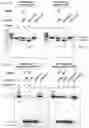Fig. 51 - Methods and compositions for RNA-directed target DNA modification and for RNA-directed modulation of transcription