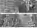 Fig. 01 - Mesoporous Carbon Modified with Polyethylenimine Catalysis Bisphenol A in Organic Solvent