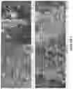 Fig. 02 - Mesoporous Carbon Modified with Polyethylenimine Catalysis Bisphenol A in Organic Solvent