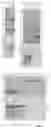 Fig. 05 - Reagents and methods for the expression of an active NifB protein and uses thereof