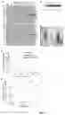Fig. 07 - Reagents and methods for the expression of an active NifB protein and uses thereof