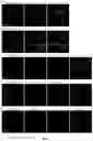 Fig. 08 - Reagents and methods for the expression of an active NifB protein and uses thereof