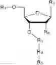 Fig. 01 - Cleavable nucleotide analogs and uses thereof