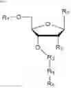 Fig. 02 - Cleavable nucleotide analogs and uses thereof