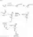 Fig. 05 - Cleavable nucleotide analogs and uses thereof