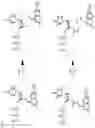 Fig. 07 - Cleavable nucleotide analogs and uses thereof