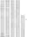 Fig. 02 - FUCOSYLATION-DEFICIENT CELLS