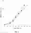 Fig. 05 - METHOD FOR THE PRODUCTION OF A GLYCOSYLATED IMMUNOGLOBULIN