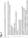Fig. 02 - Method for capturing long polynucleotides for sequencing specific gnomic regions