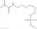 Fig. 32 - Method for capturing long polynucleotides for sequencing specific gnomic regions