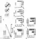 Fig. 06 - Portable, low-cost pathogen detection and strain identification platform