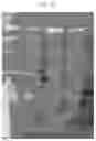 Fig. 28 - Multiplex labeling of molecules by sequential hybridization barcoding