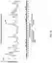 Fig. 16 - Methods and compositions for enrichment of amplification products
