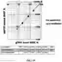 Fig. 19 - Methods and compositions for enrichment of amplification products