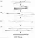 Fig. 27 - Methods and compositions for enrichment of amplification products
