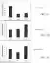 Fig. 04 - CELL CHARACTERISATION