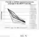 Fig. 07 - CELL CHARACTERISATION
