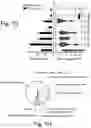 Fig. 08 - Methods for use in the diagnosis of autoimmune diseases