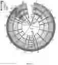 Fig. 33 - METHODS OF DIAGNOSING AND TREATING ALZHEIMER'S DISEASE