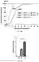 Fig. 49 - METHODS OF DIAGNOSING AND TREATING ALZHEIMER'S DISEASE