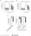 Fig. 28 - PROGNOSIS AND TREATMENT OF RELAPSING LEUKEMIA